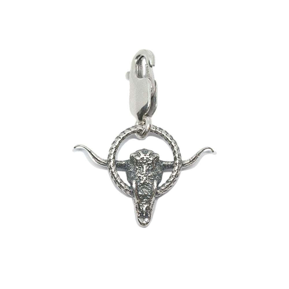 The Alamo Longhorn Charm