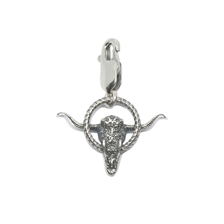 The Alamo Longhorn Charm