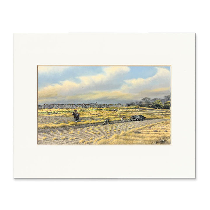 "First Spring Planting, Espada 1790" Donald Yena