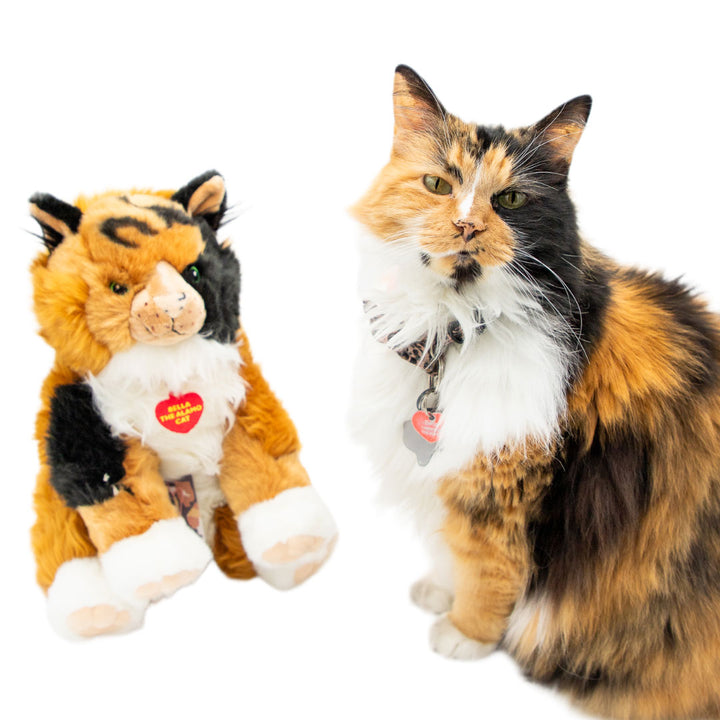 Bella the Cat, a fluffy calico, sits beside the Bella the Cat Plush w/Collar—its orange, black, and white fur patterns make it a perfect Texas souvenir against a crisp white background.
